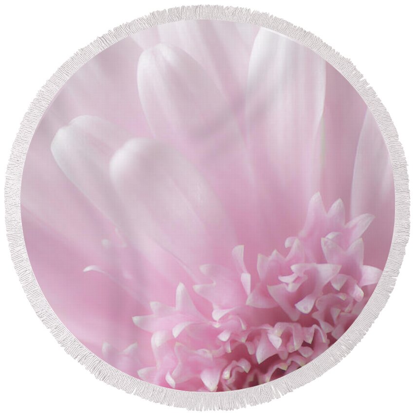 Floral Round Beach Towel featuring the photograph Pastel Daisy by Dale Kincaid