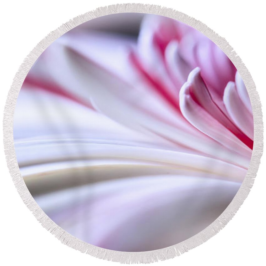 3scape Round Beach Towel featuring the photograph Pastel Gerbera by Adam Romanowicz