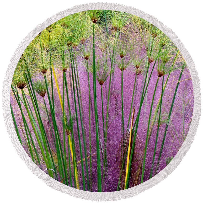 Fine Art Round Beach Towel featuring the photograph Pastel Grass by Rodney Lee Williams