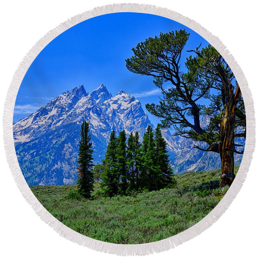 Patriarch Tree Round Beach Towel featuring the photograph Patriarch Tree by Greg Norrell