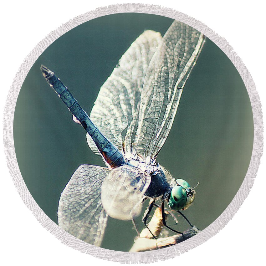 Dragonfly Round Beach Towel featuring the photograph Peaceful Pause by Melanie Lankford Photography