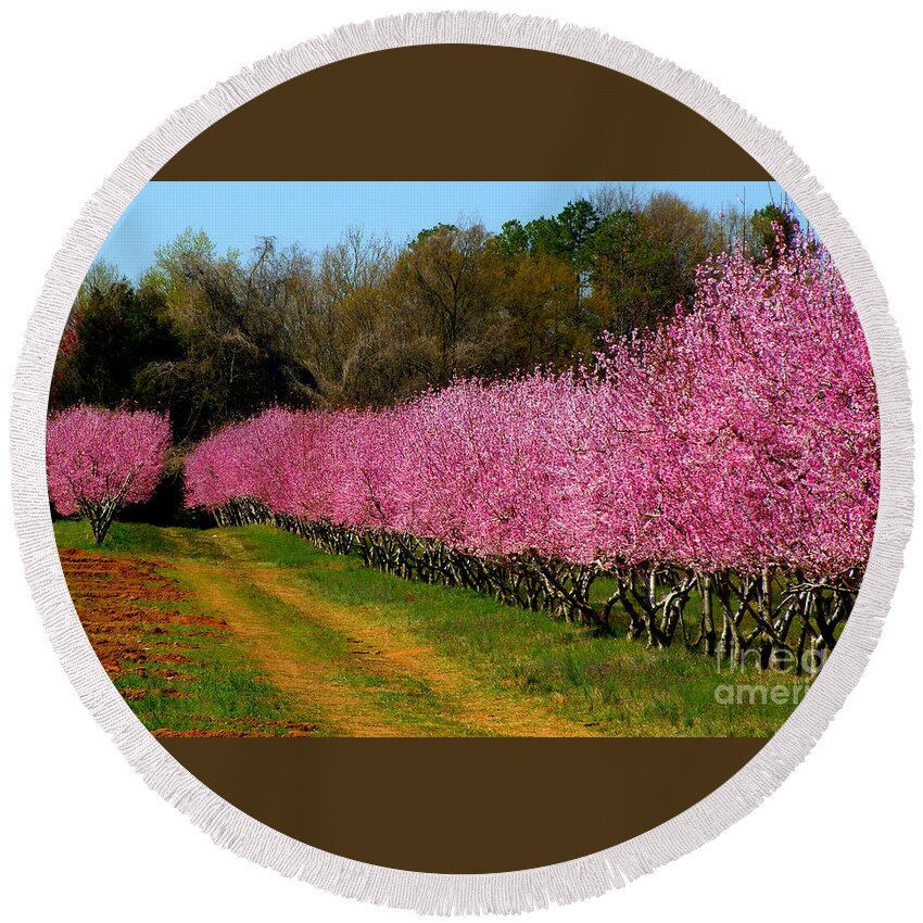 Peach Orchard Round Beach Towel featuring the photograph Peach Orchard in Carolina by Lydia Holly