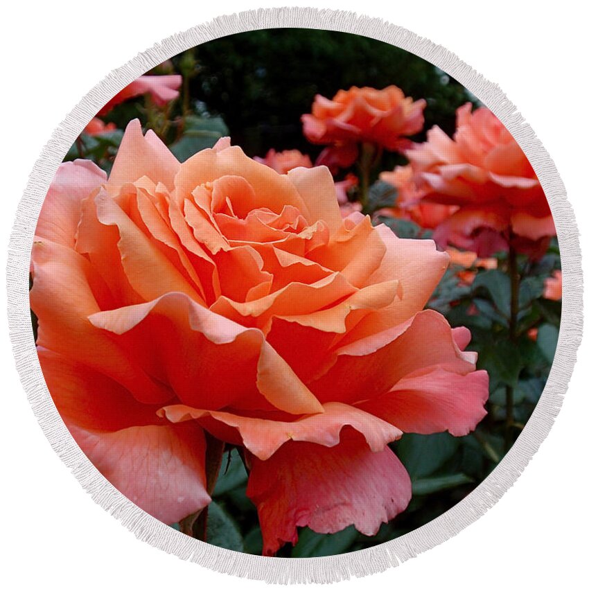 Roses Round Beach Towel featuring the photograph Peach Roses by Rona Black