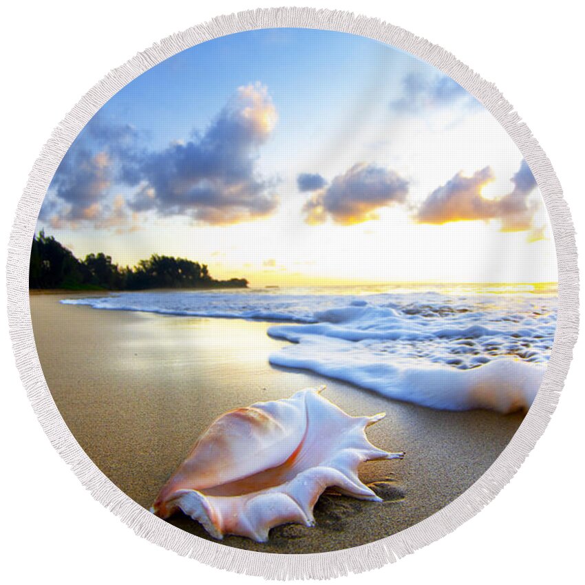  Shell Round Beach Towel featuring the photograph Peaches n' Cream by Sean Davey