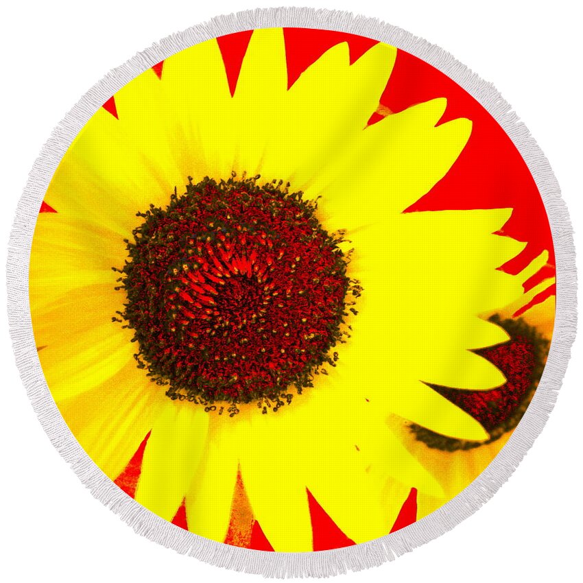 Sunflower Round Beach Towel featuring the photograph Peek A Boo by Kathy Barney