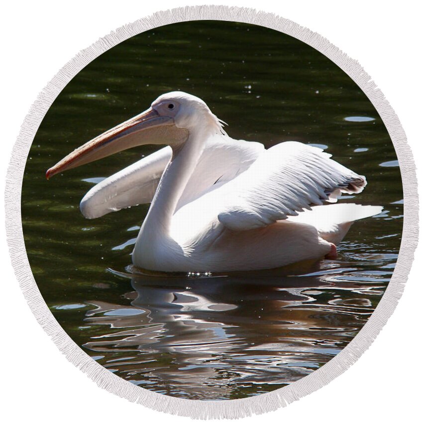 Great White Pelican Round Beach Towel featuring the photograph Pelican and Friend by Rona Black