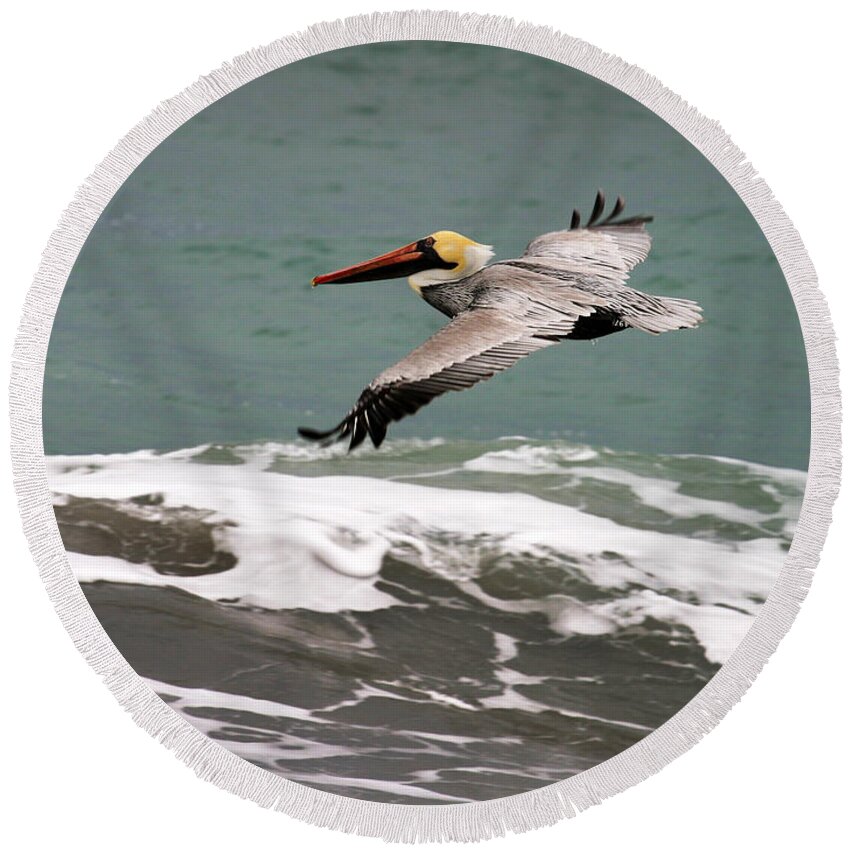 Pelican Round Beach Towel featuring the photograph Pelican Flying by Anthony Jones