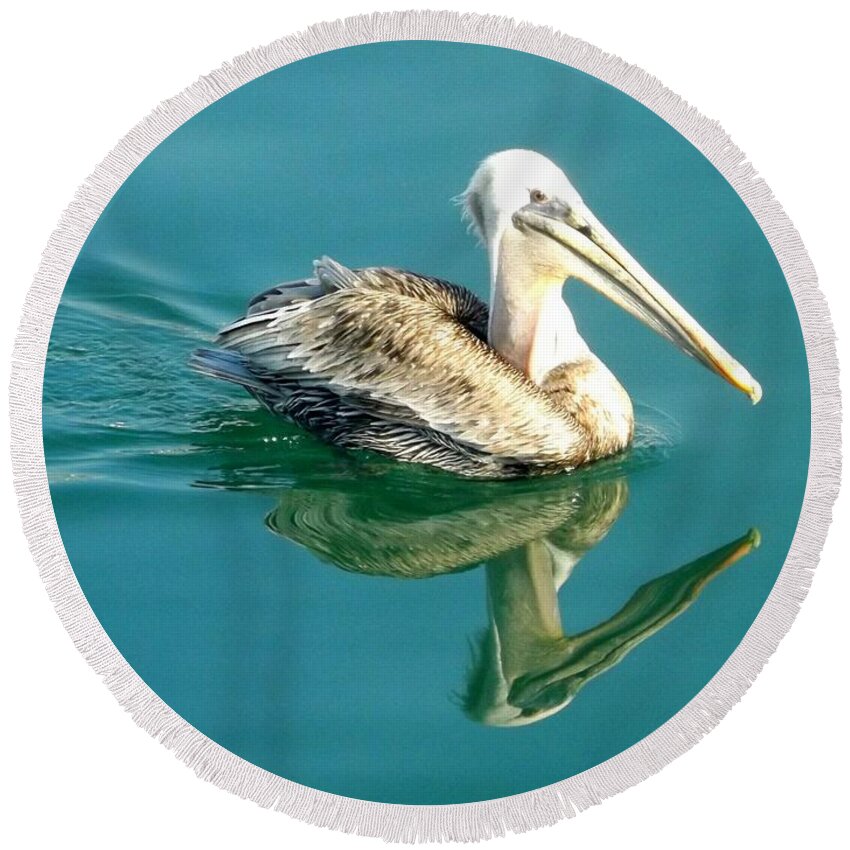 Pelican Round Beach Towel featuring the photograph Pelican in San Francisco Bay by Clare Bevan