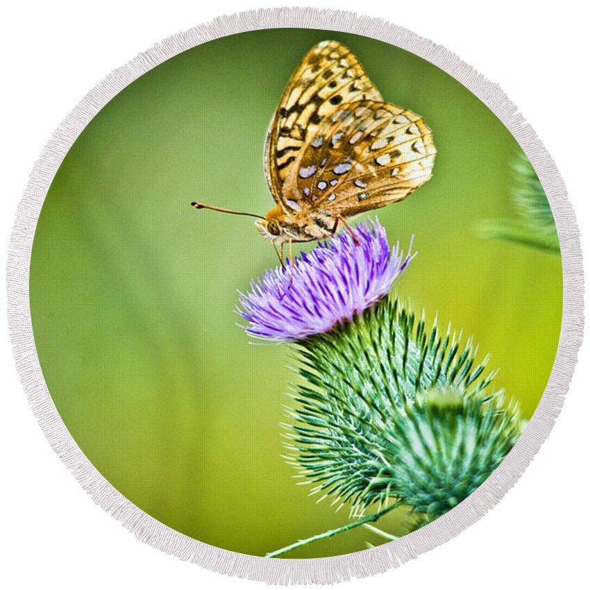 Great Spangled Fritillary Butterfly Round Beach Towel featuring the photograph Perfect Butterfly by Cheryl Baxter