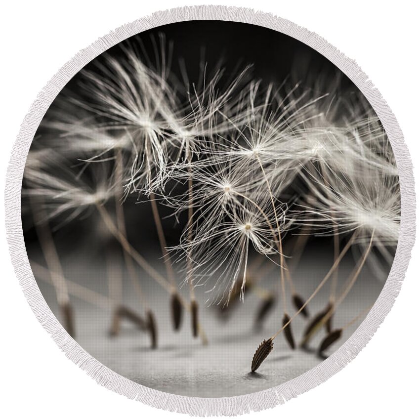Dandelion Round Beach Towel featuring the photograph Performance by Elena Elisseeva