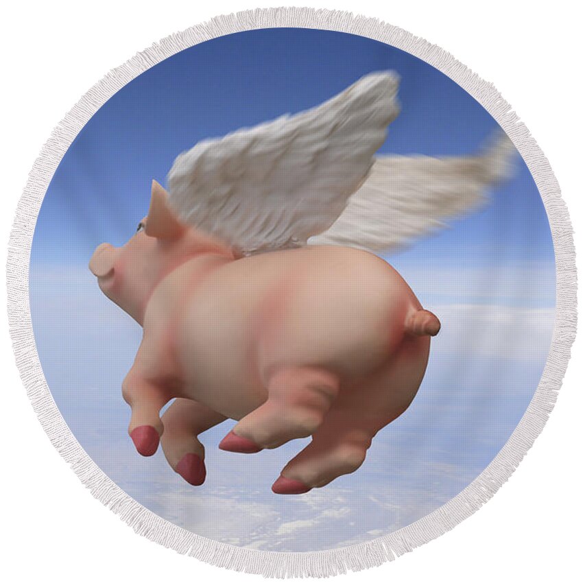 Pigs Fly Round Beach Towel featuring the photograph Pigs Fly 2 by Mike McGlothlen