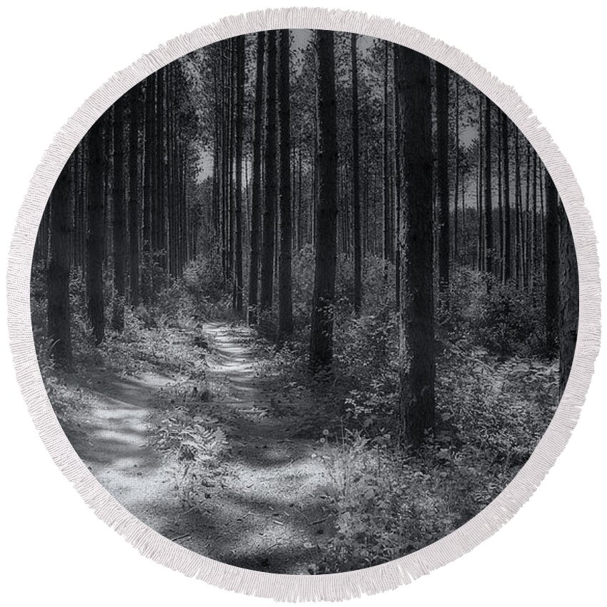 Trees Round Beach Towel featuring the photograph Pine Grove by Scott Norris