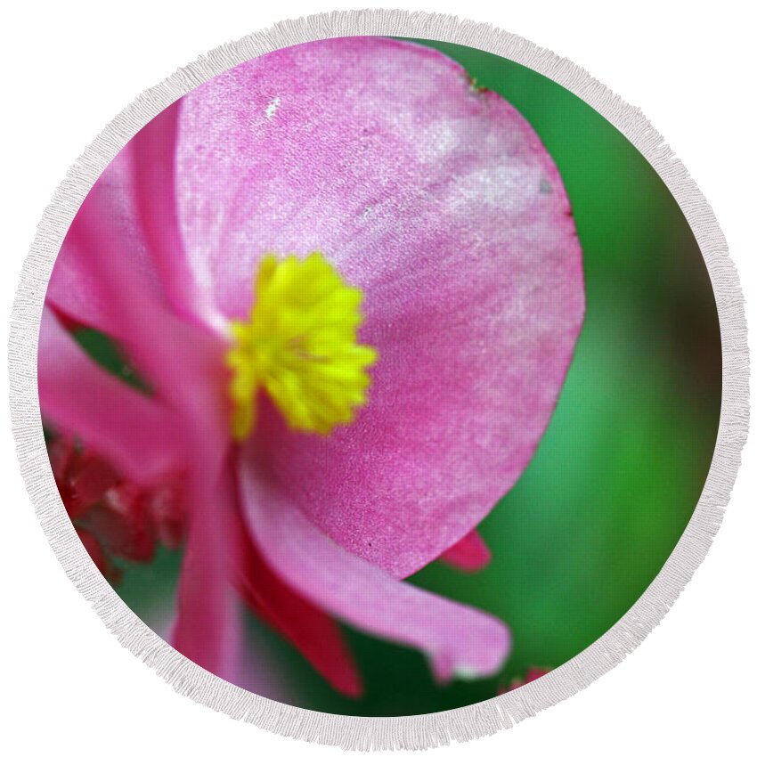 Flowers Round Beach Towel featuring the photograph Pink Begonia by Jennifer Robin