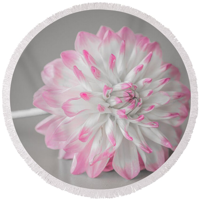Flower Round Beach Towel featuring the photograph Pink Dahlia by Amanda Mohler