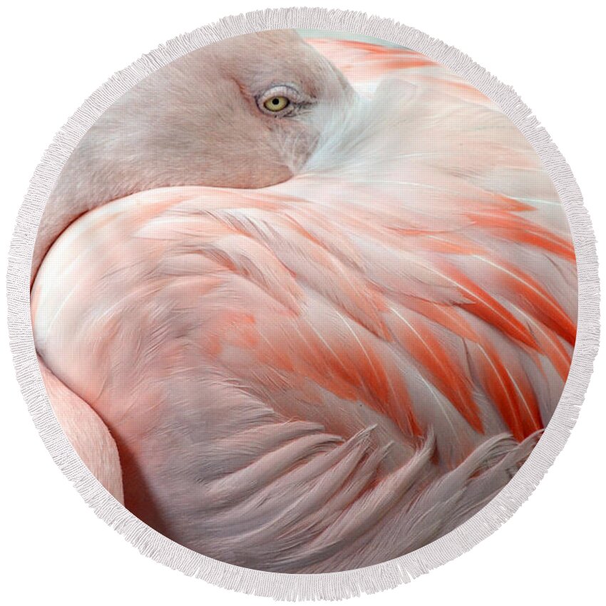 Pink Flamingo Ii Round Beach Towel featuring the photograph Pink Flamingo II by Robert Meanor