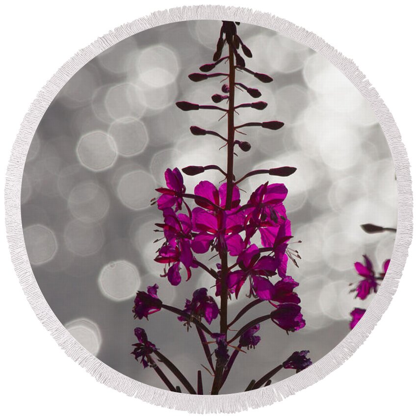 Fireweed Round Beach Towel featuring the photograph Pink by Heiko Koehrer-Wagner