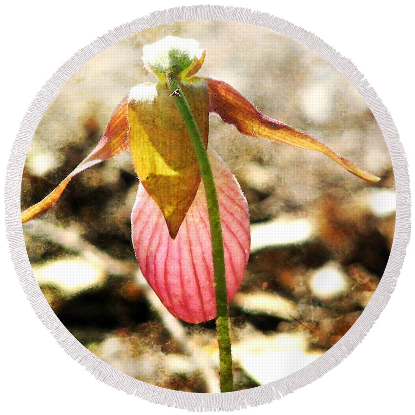 Lady Slipper Round Beach Towel featuring the photograph Pink Lady Slipper - Textured by Marie Jamieson