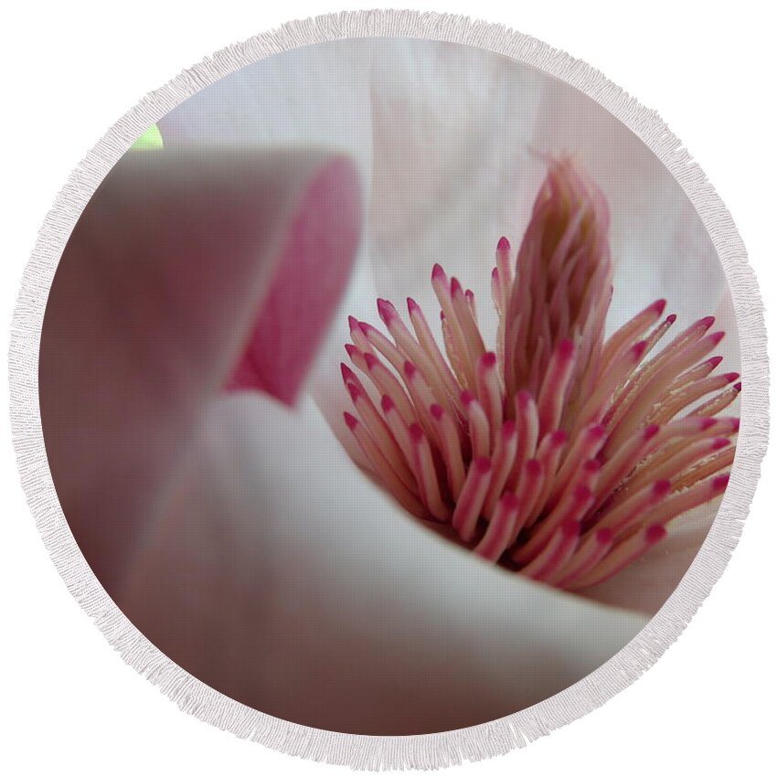 Magnolia Round Beach Towel featuring the photograph Pink Magnolia by Erin Rednour
