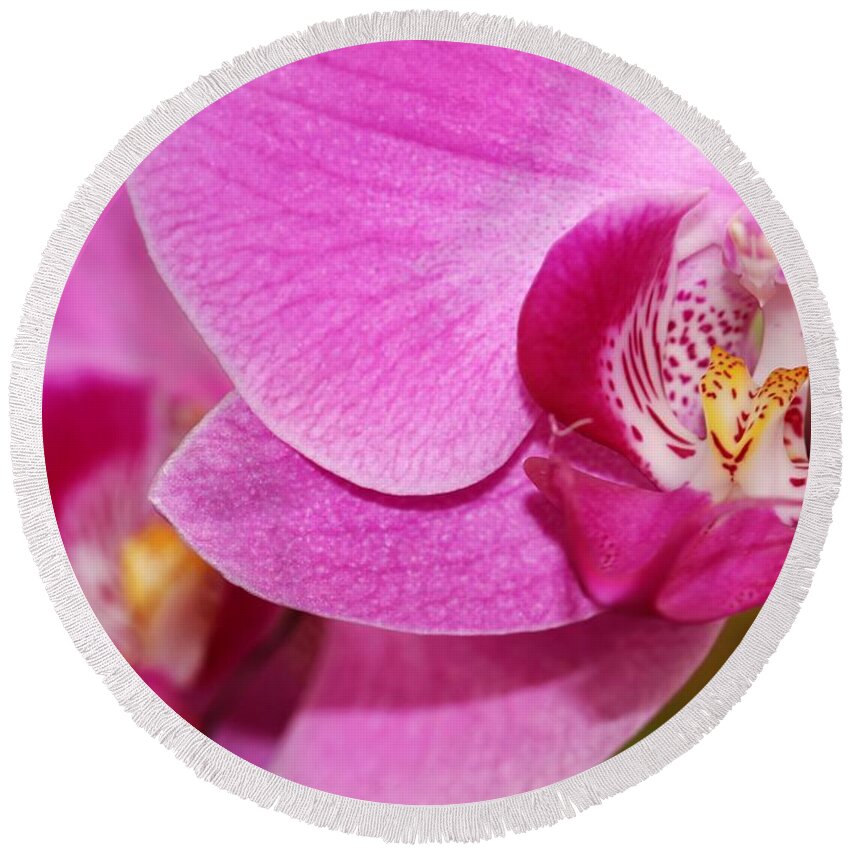 Orchid Round Beach Towel featuring the photograph Pink Orchids by Sabrina L Ryan