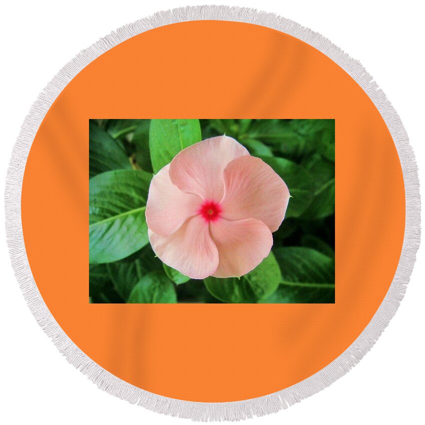 Pink Vinca Round Beach Towel featuring the photograph Pink Perfection by Deborah Lacoste
