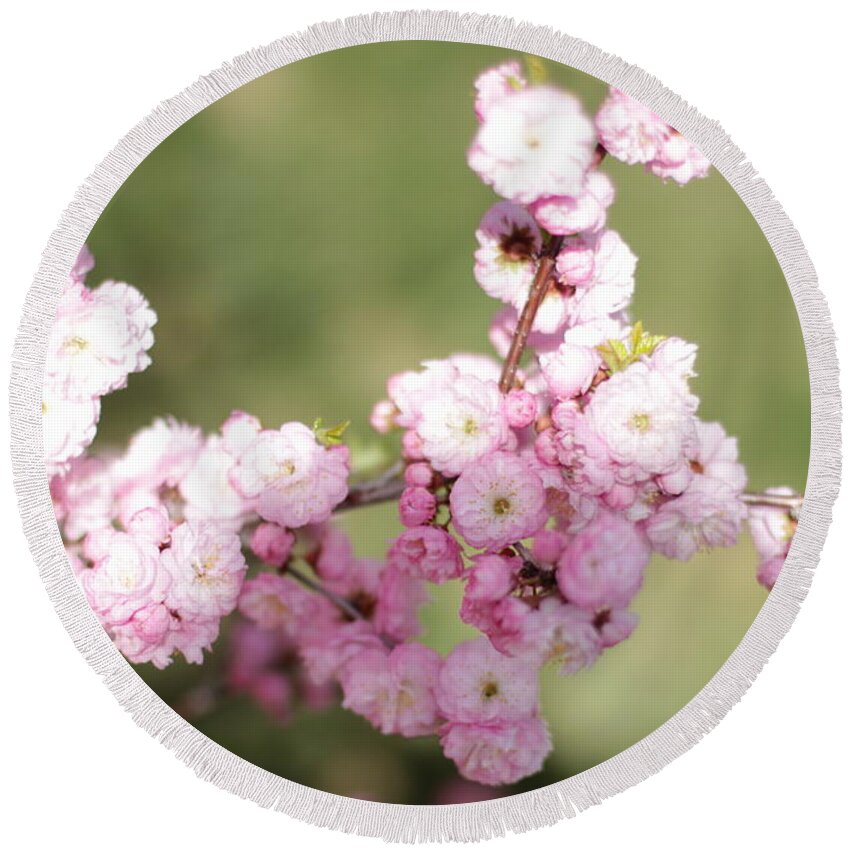 Landscape Round Beach Towel featuring the photograph Pink Plum Branch on Green 2 by Donna L Munro