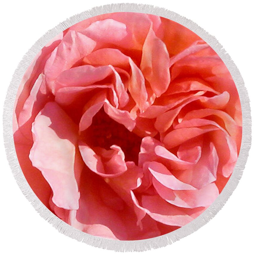 Rose Round Beach Towel featuring the photograph Pink Rose Closeup by Anne Cameron Cutri