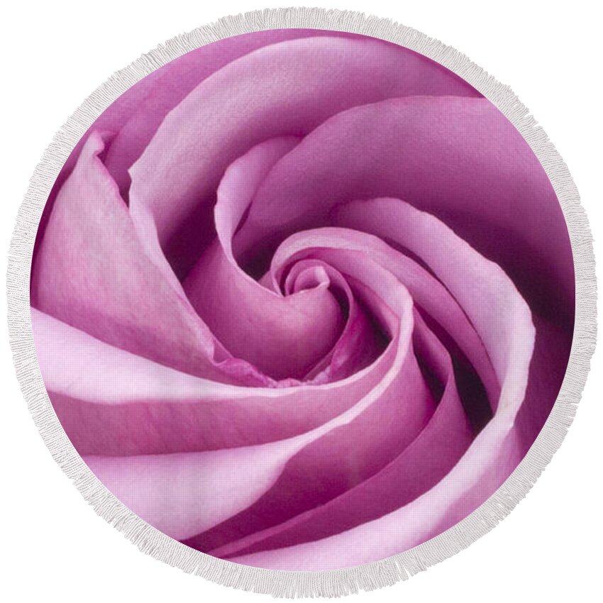 Pink Rose Closeup Round Beach Towel featuring the photograph Pink Rose Folded To Perfection by Sandra Foster