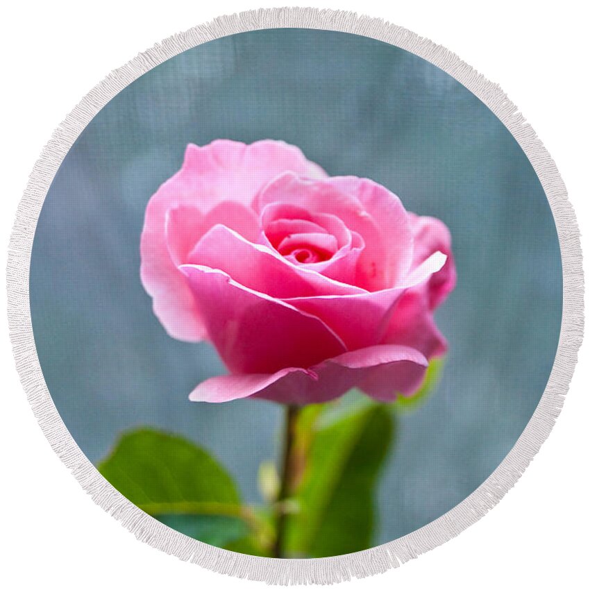 Pink Rose Round Beach Towel featuring the photograph Pink Rose by Steven Dunn