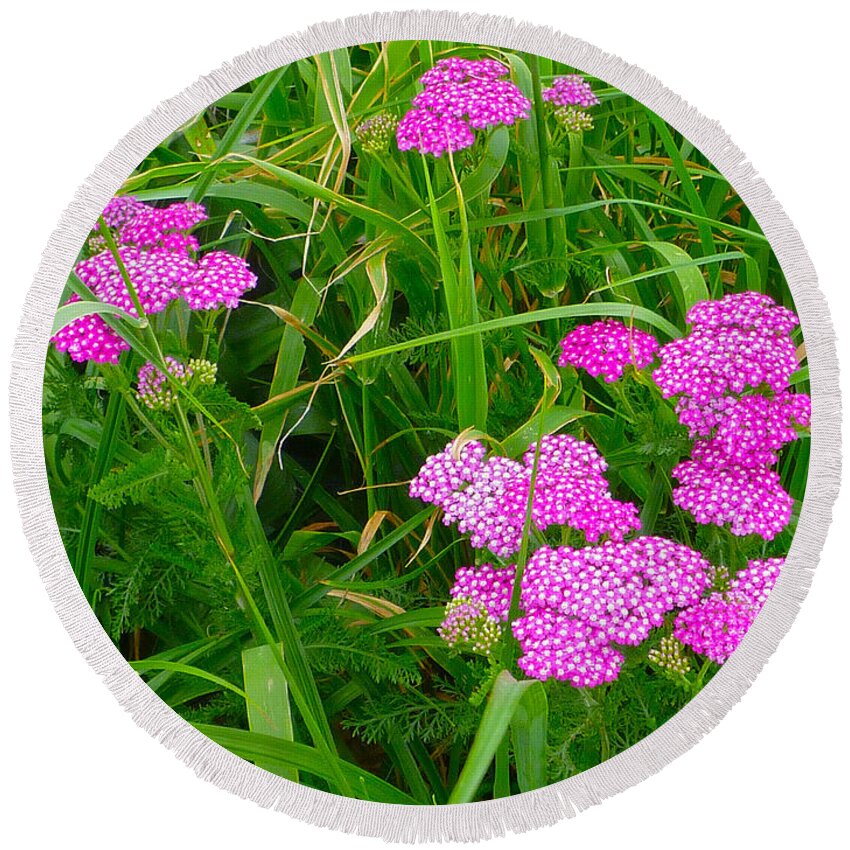 Flowers Round Beach Towel featuring the photograph Pink yarrow by Ellen Paull
