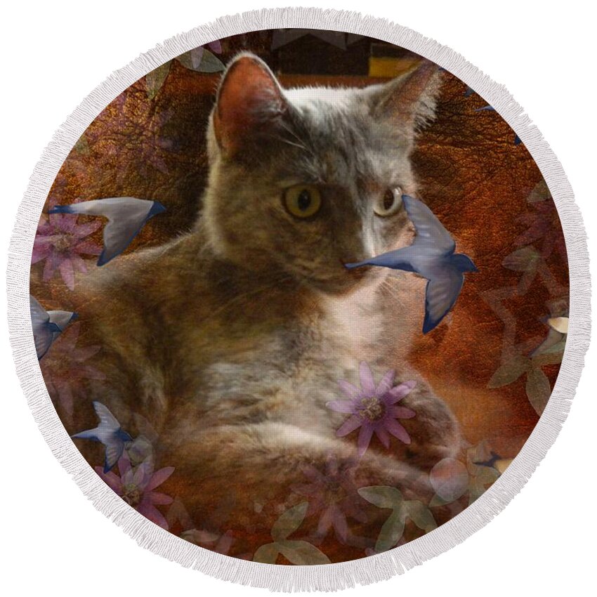 Cat Round Beach Towel featuring the photograph Pinky's Dream by George Pedro