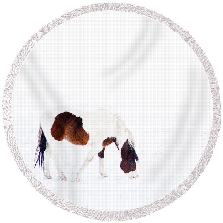 Small Horse Round Beach Towel featuring the photograph Pinto Pony by Theresa Tahara