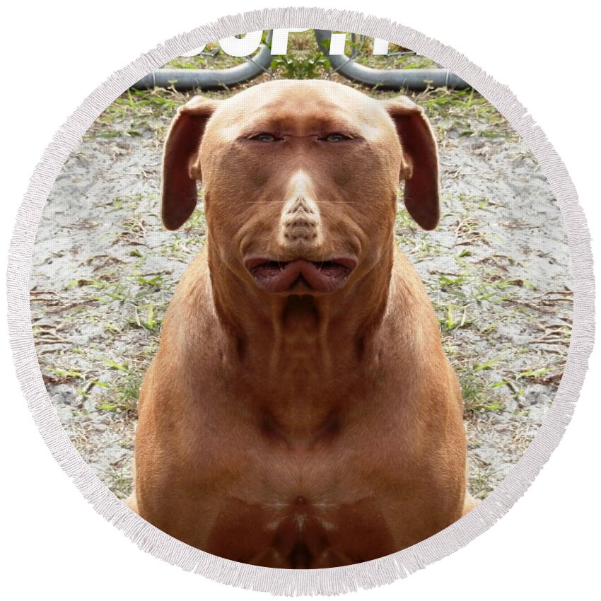 Supp?? And Hello From The Double Trouble Mirrored Effect Red Nose Pit Bull Round Beach Towel featuring the photograph Pit Bull Double by Belinda Lee