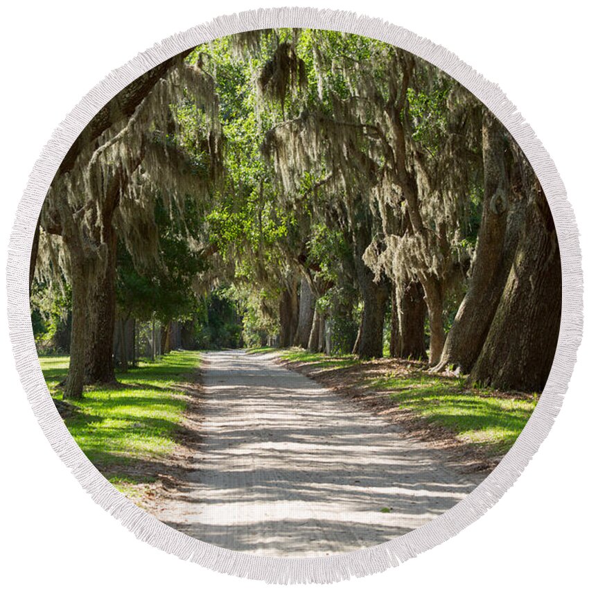 Spanish Moss Round Beach Towel featuring the photograph Plantation Road by Louise Heusinkveld