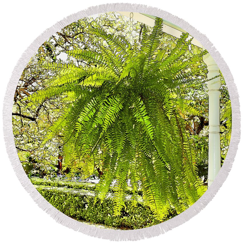 Austin Texas Round Beach Towel featuring the photograph Showy Southern Fern - Luther Fine Art by Luther Fine Art