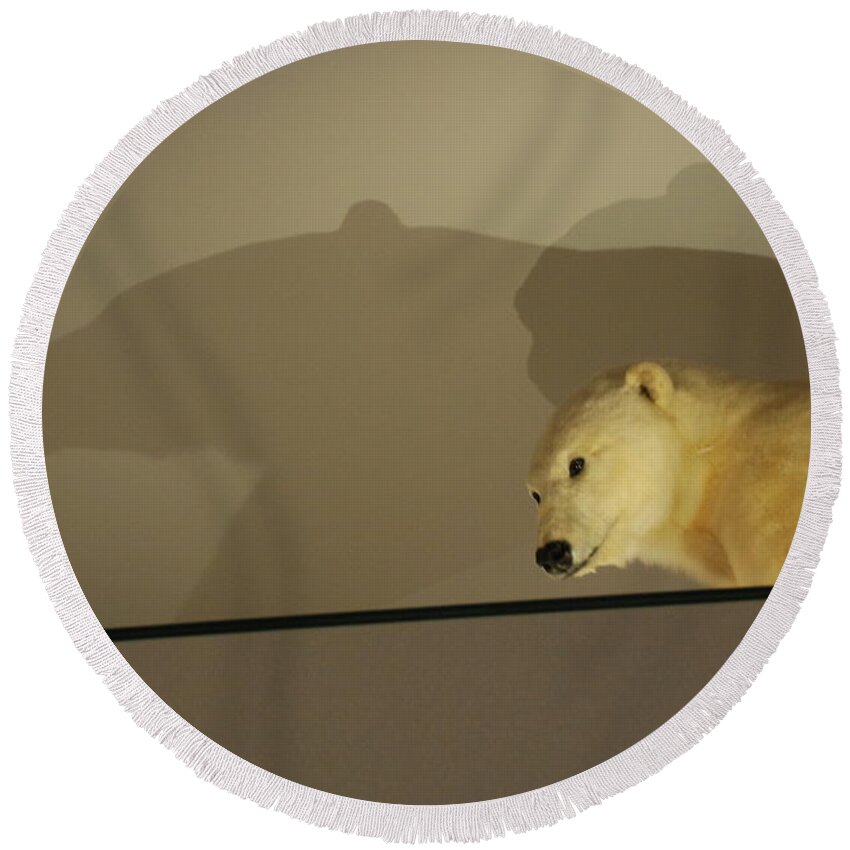 Natural History Round Beach Towel featuring the photograph Polar Bear Shadows by Kenny Glover