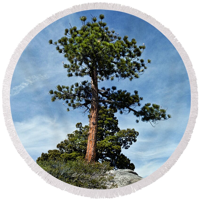 Beauty In Nature Round Beach Towel featuring the photograph Ponderosa Pine and Granite Boulders by Jeff Goulden