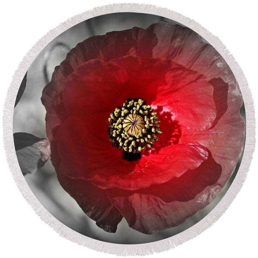 Poppy Round Beach Towel featuring the photograph Poppy Color Splash by Clare Bevan