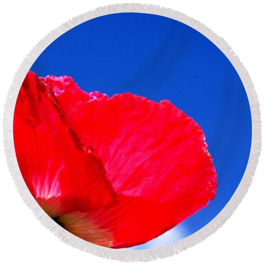 Flora Round Beach Towel featuring the photograph Poppy sky by Stephen Melia