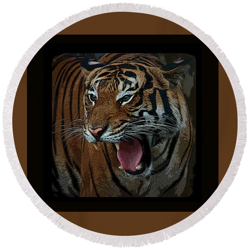 Tiger Round Beach Towel featuring the photograph Portrait of a Tiger by Aimee L Maher ALM GALLERY