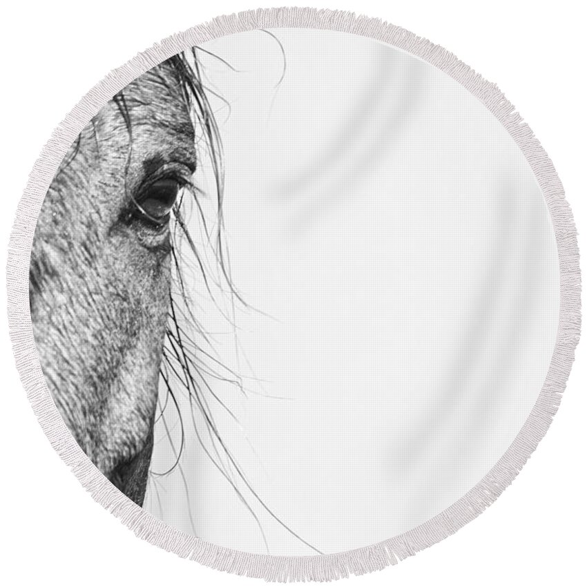 Wild Round Beach Towel featuring the photograph Portrait of a Wild Mustang by Bob Decker