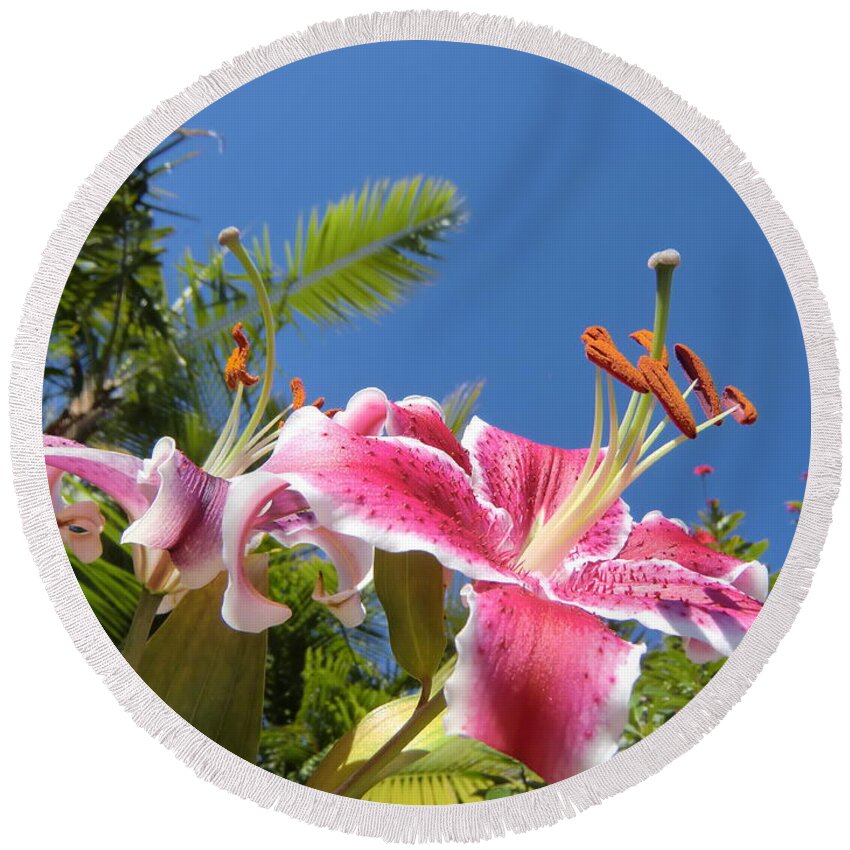 Flower Photograph Round Beach Towel featuring the photograph Possibilities by Michele Penn