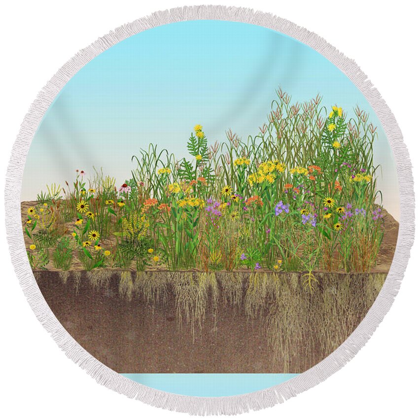 Prairie Round Beach Towel featuring the photograph Prairie Plants Succession, Illustration by Carlyn Iverson