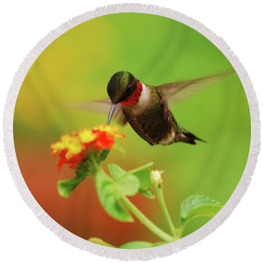 Hummingbird Round Beach Towel featuring the photograph Pretty As A Picture by Lori Tambakis