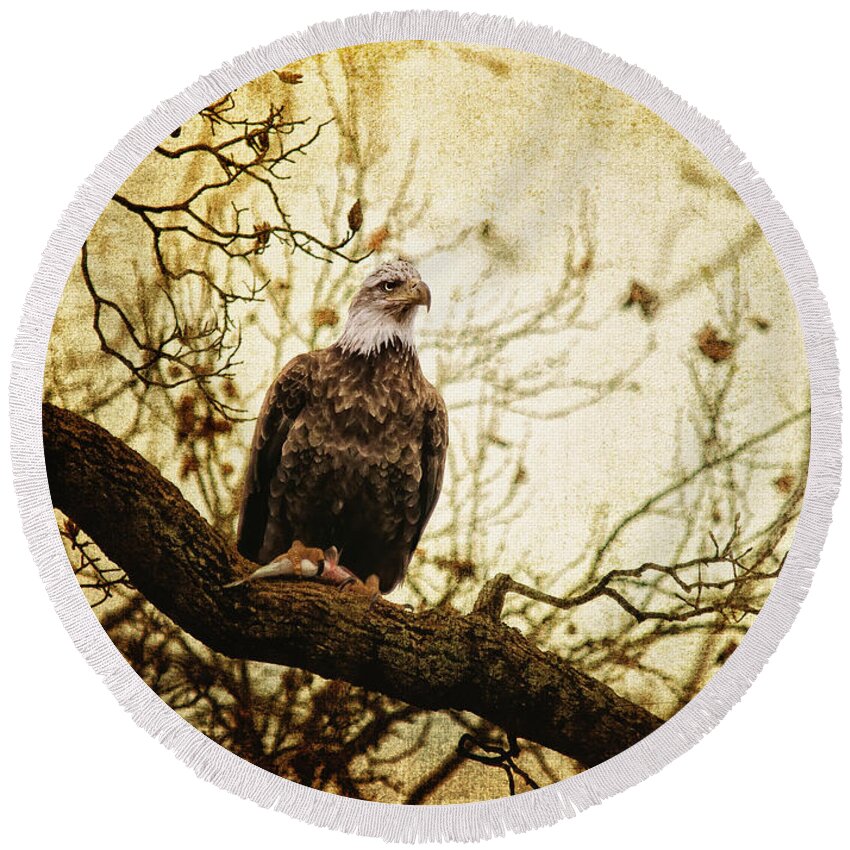 Eagle Round Beach Towel featuring the photograph Pride by Lois Bryan