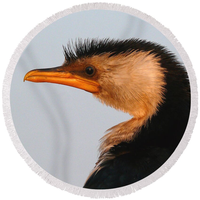 Cormorant Round Beach Towel featuring the photograph Profile Of A Young Cormorant by Evelyn Tambour
