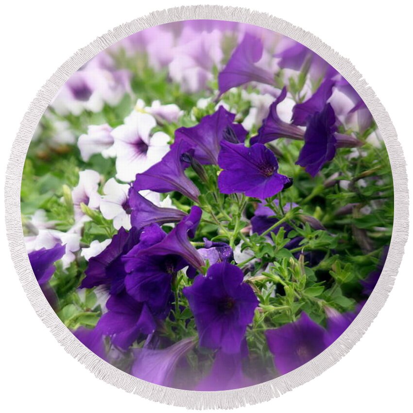 Purple Round Beach Towel featuring the photograph Purple and White Petunias by Donna Walsh