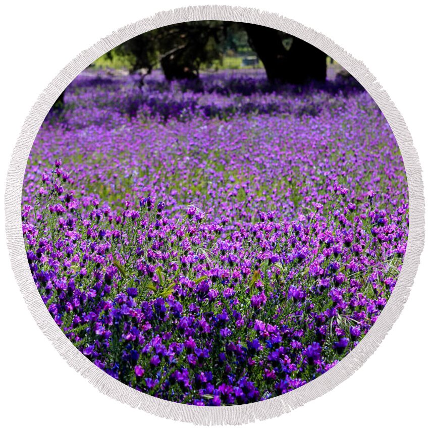 Purple Round Beach Towel featuring the photograph Purple fields by Jenny Setchell