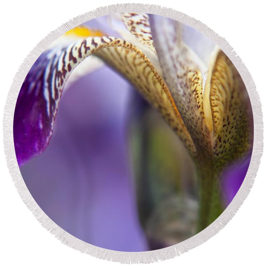 Floral Round Beach Towel featuring the photograph Purple Iris 1 by Theresa Tahara