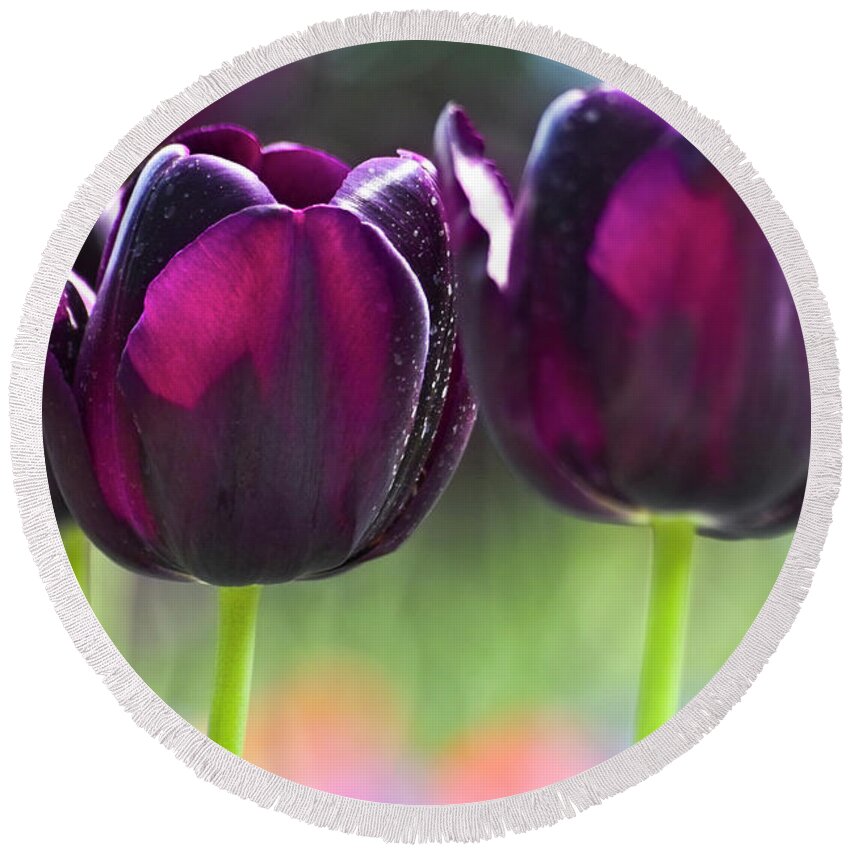 Tulip Round Beach Towel featuring the photograph Purple tulips by Heiko Koehrer-Wagner