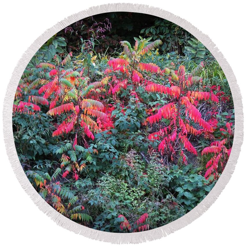 Sumac Round Beach Towel featuring the photograph Rainbow Sumac by MTBobbins Photography